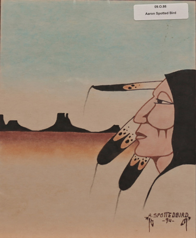 Profile of man with mesas in background